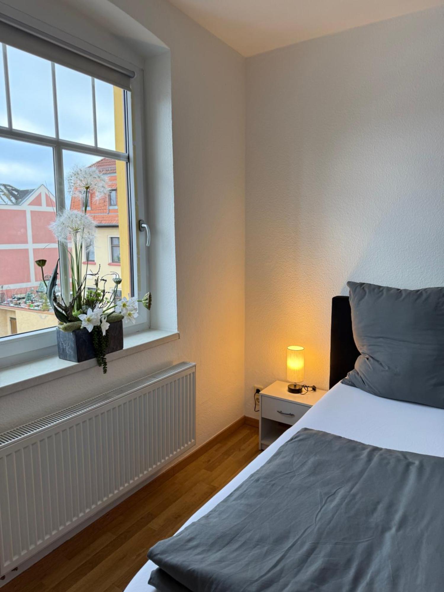 Goeltzschtal Apartment Mylau المظهر الخارجي الصورة